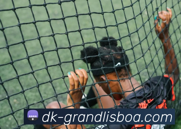 新葡京娱乐平台生态图